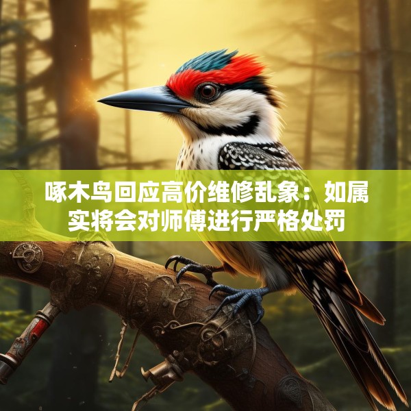 啄木鸟回应高价维修乱象：如属实将会对师傅进行严格处罚