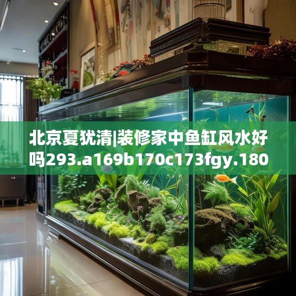 北京夏犹清|装修家中鱼缸风水好吗293.a169b170c173fgy.180fds