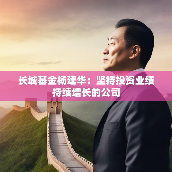 长城基金杨建华：坚持投资业绩持续增长的公司