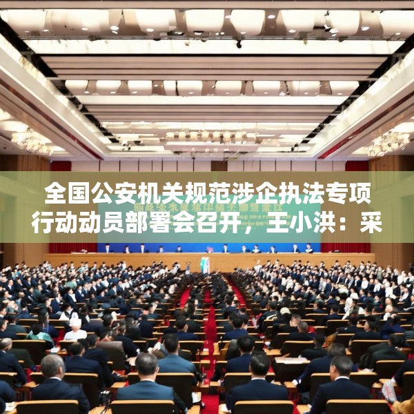 全国公安机关规范涉企执法专项行动动员部署会召开，王小洪：采取更具针对性、更有实效性的措施