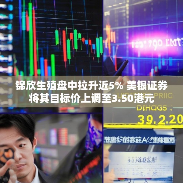 锦欣生殖盘中拉升近5% 美银证券将其目标价上调至3.50港元