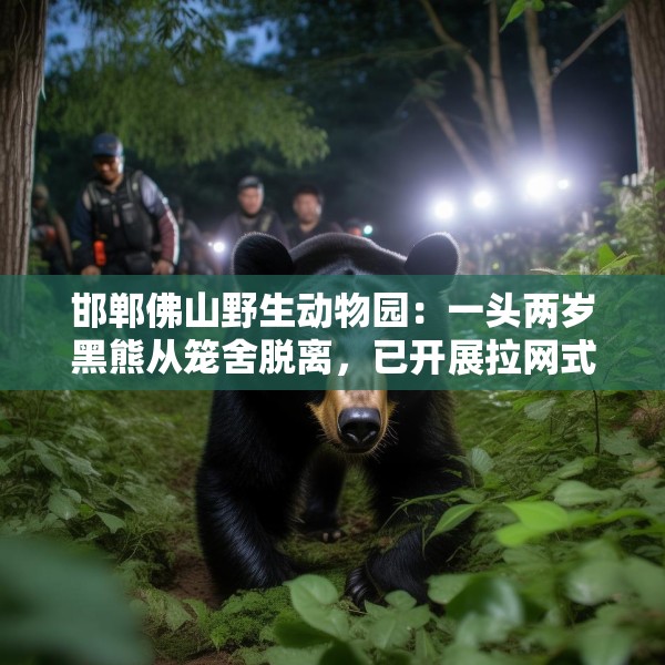 邯郸佛山野生动物园：一头两岁黑熊从笼舍脱离，已开展拉网式搜寻