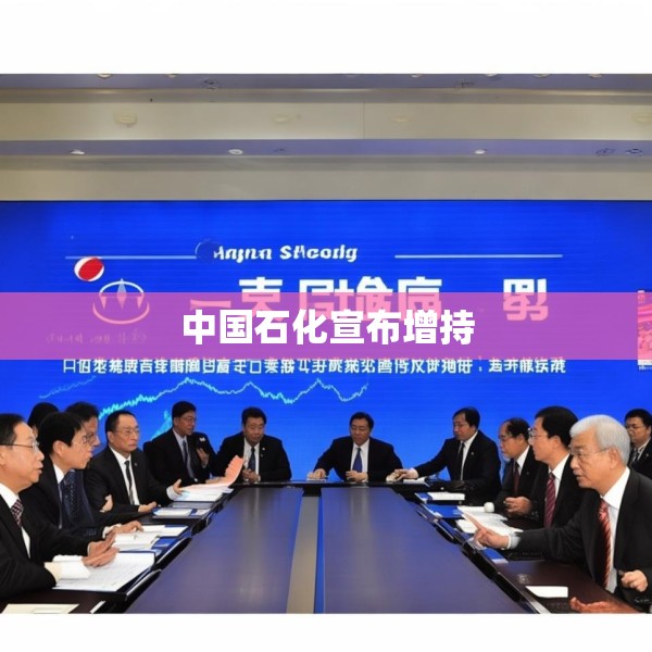 中国石化宣布增持
