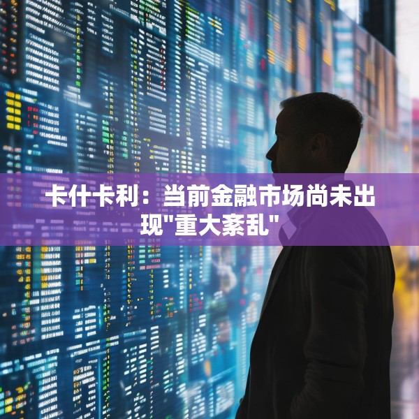 卡什卡利：当前金融市场尚未出现