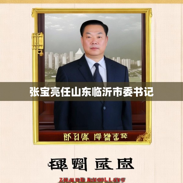 张宝亮任山东临沂市委书记