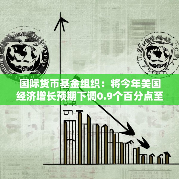 国际货币基金组织：将今年美国经济增长预期下调0.9个百分点至1.8%