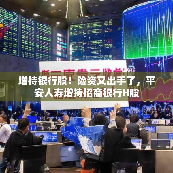 增持银行股！险资又出手了，平安人寿增持招商银行H股