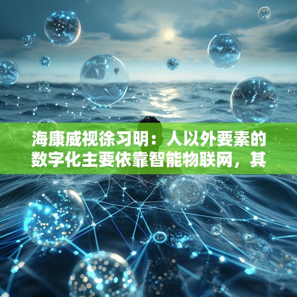 海康威视徐习明：人以外要素的数字化主要依靠智能物联网，其中机遇众多
