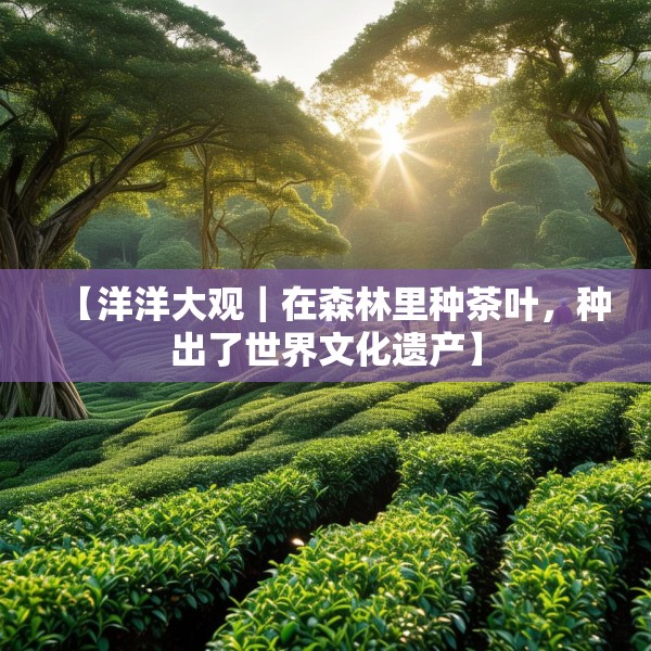 装修禁忌 第10页