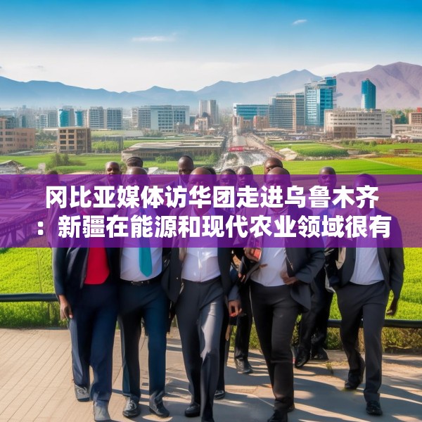 冈比亚媒体访华团走进乌鲁木齐：新疆在能源和现代农业领域很有借鉴意义