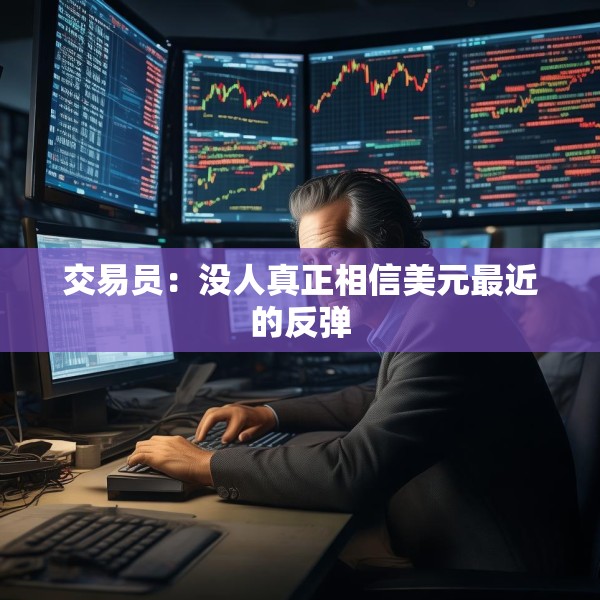 交易员：没人真正相信美元最近的反弹