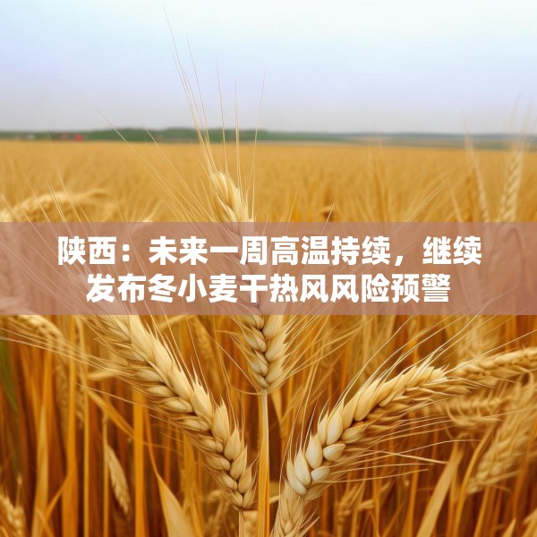 陕西：未来一周高温持续，继续发布冬小麦干热风风险预警