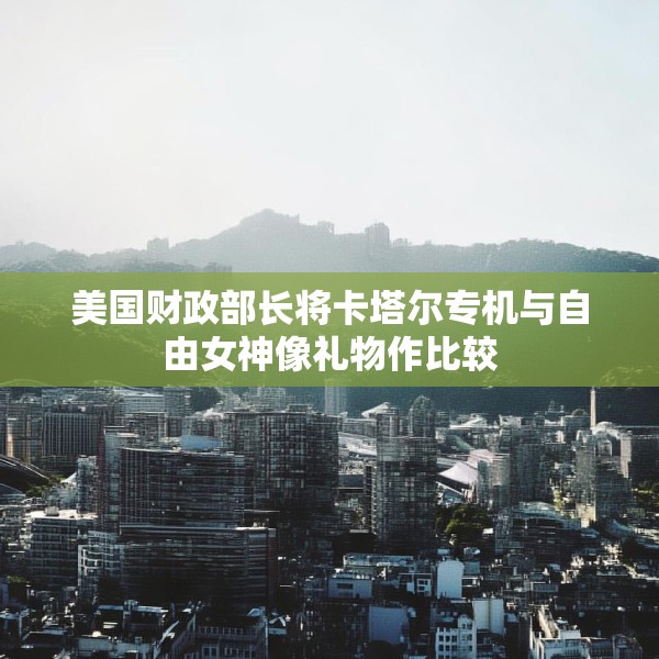 美国财政部长将卡塔尔专机与自由女神像礼物作比较