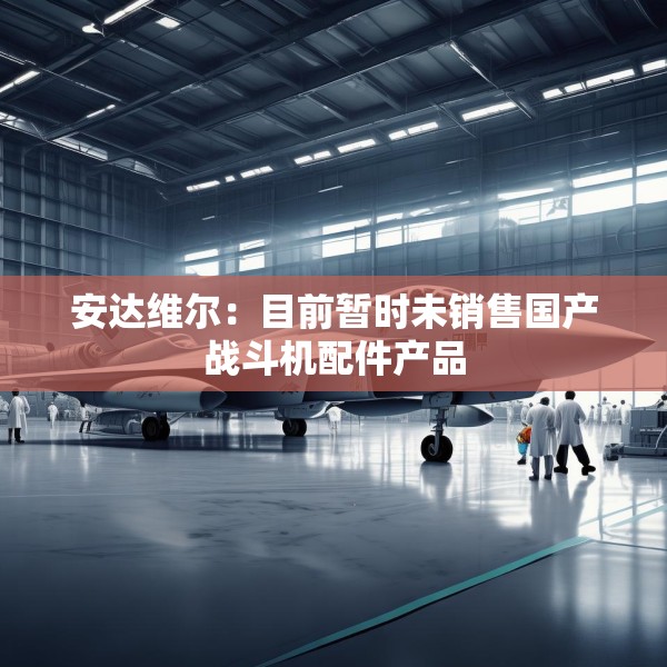 安达维尔：目前暂时未销售国产战斗机配件产品