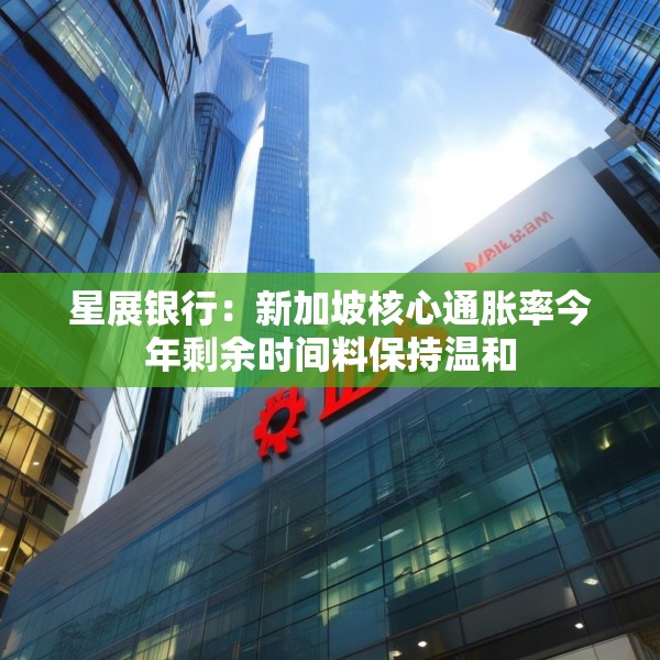 星展银行：新加坡核心通胀率今年剩余时间料保持温和