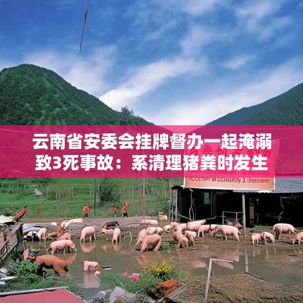 云南省安委会挂牌督办一起淹溺致3死事故：系清理猪粪时发生