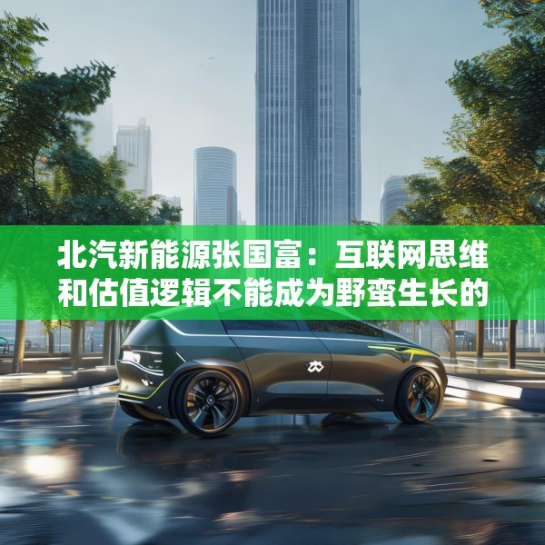 北汽新能源张国富：互联网思维和估值逻辑不能成为野蛮生长的理由