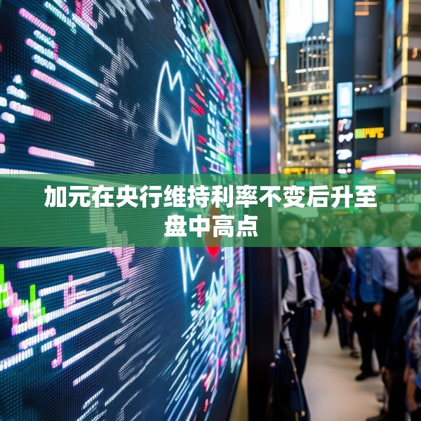 加元在央行维持利率不变后升至盘中高点