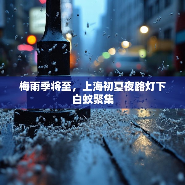 梅雨季将至，上海初夏夜路灯下白蚁聚集