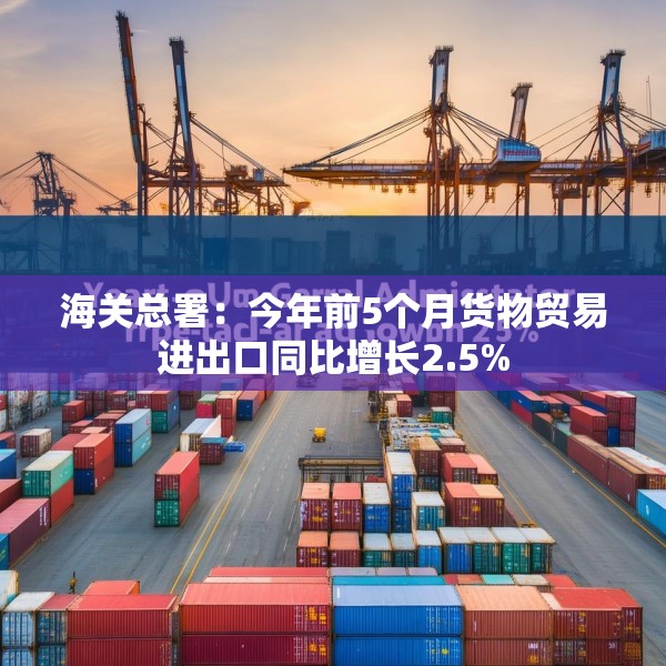 海关总署：今年前5个月货物贸易进出口同比增长2.5%